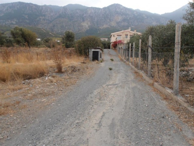 منطقه مسکونی برای فروش in Lapta, گیرنه