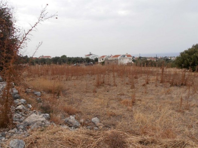 منطقه مسکونی برای فروش in Lapta, گیرنه