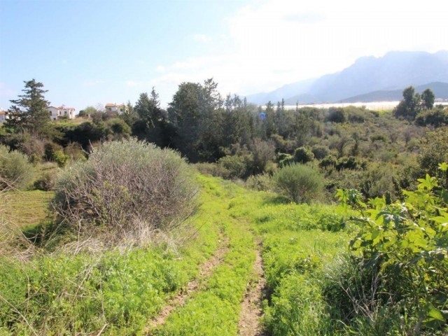 Wohngebiet Zu verkaufen in Alsancak, Kyrenia