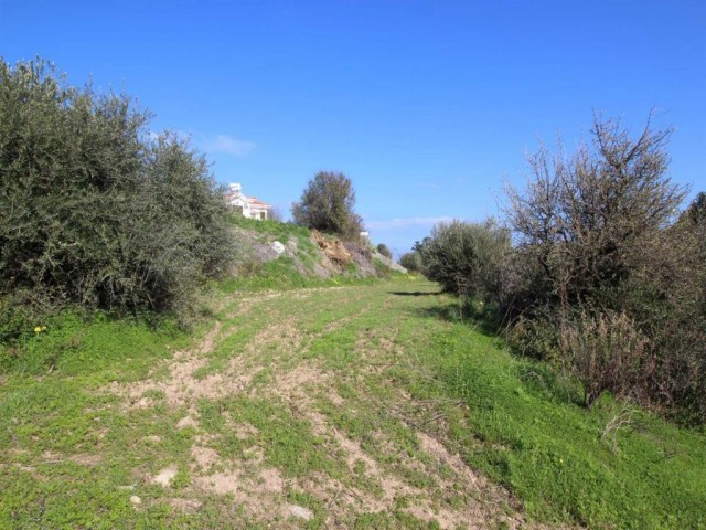 منطقه مسکونی برای فروش in Alsancak, گیرنه