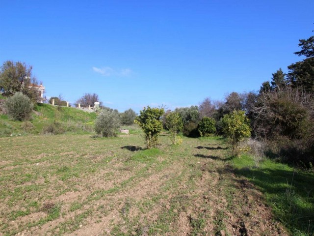 منطقه مسکونی برای فروش in Alsancak, گیرنه