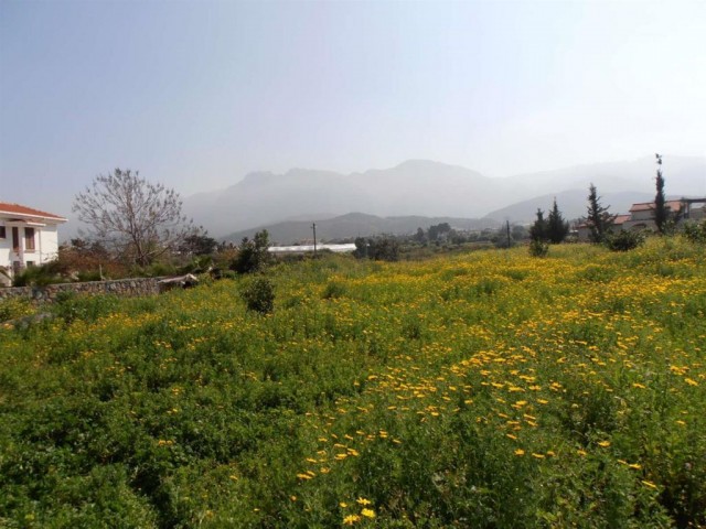 منطقه مسکونی برای فروش in Alsancak, گیرنه