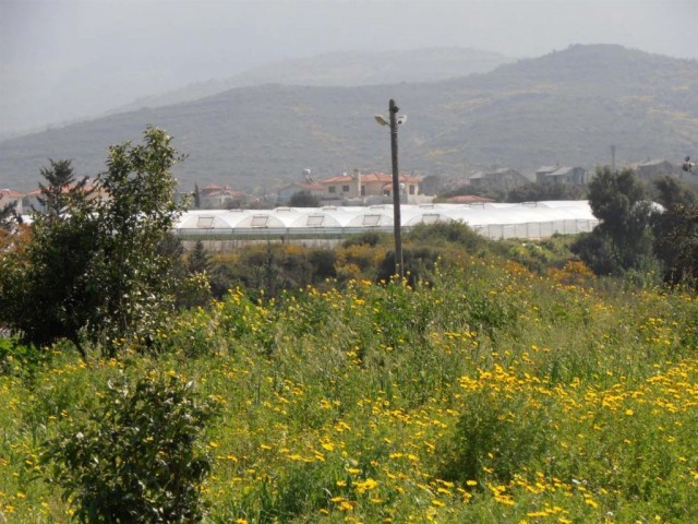 Wohngebiet Zu verkaufen in Alsancak, Kyrenia