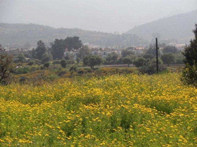 منطقه مسکونی برای فروش in Alsancak, گیرنه