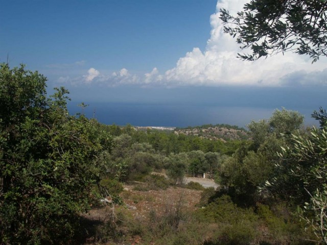 Wohngebiet Kaufen in Karaağaç, Kyrenia