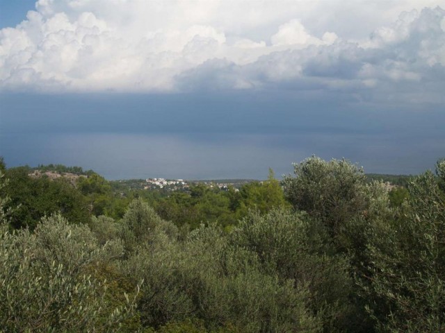 منطقه مسکونی برای فروش in Karaağaç, گیرنه