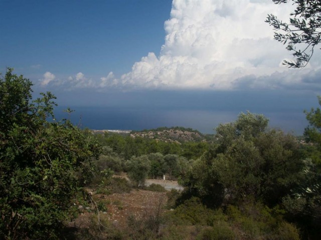 منطقه مسکونی برای فروش in Karaağaç, گیرنه