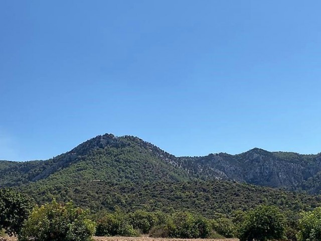 Eben Kaufen in Bahçeli, Kyrenia