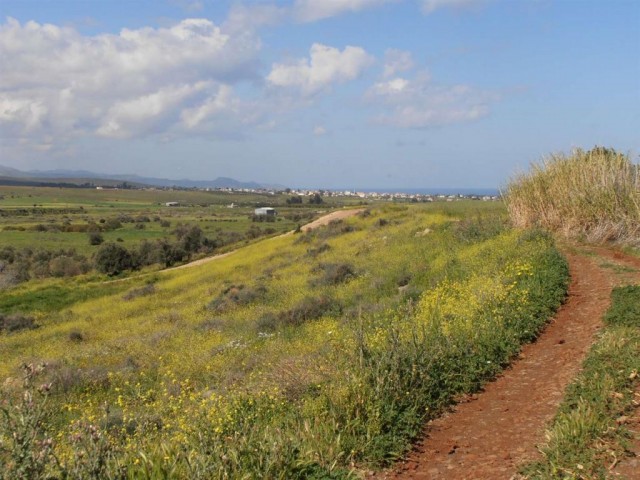 жилая зона Продается in Güzelyurt Merkez, Гюзельюрт