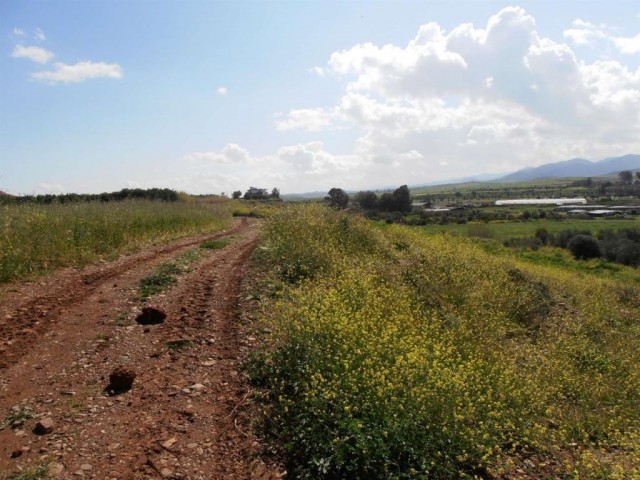 жилая зона Продается in Güzelyurt Merkez, Гюзельюрт