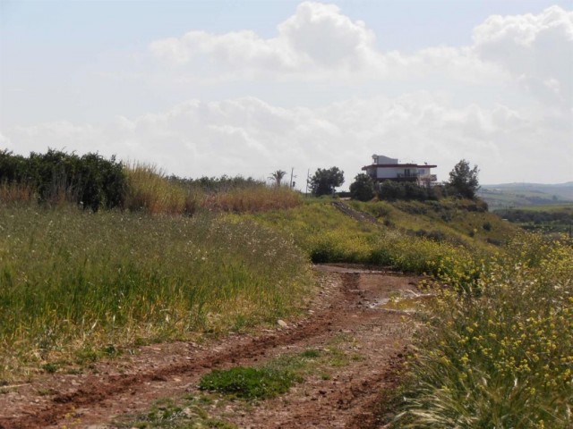 жилая зона Rasprodazha in Güzelyurt Merkez, Гюзельюрт