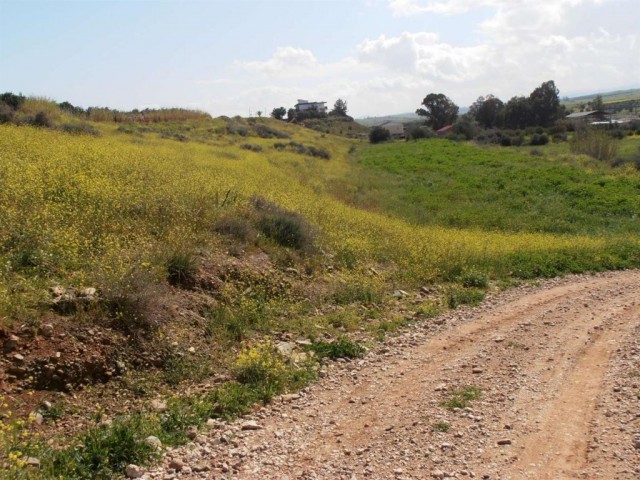 жилая зона Rasprodazha in Güzelyurt Merkez, Гюзельюрт