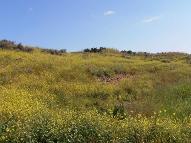 жилая зона Продается in Güzelyurt Merkez, Гюзельюрт