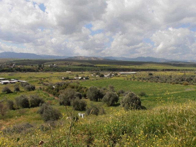 Wohngebiet Zu verkaufen in Güzelyurt Merkez, Guzelyurt