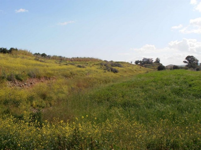 жилая зона Rasprodazha in Güzelyurt Merkez, Гюзельюрт