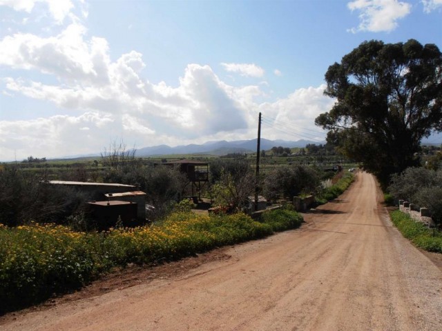 жилая зона Rasprodazha in Güzelyurt Merkez, Гюзельюрт