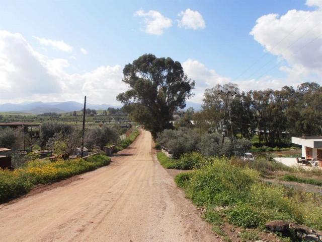 жилая зона Rasprodazha in Güzelyurt Merkez, Гюзельюрт