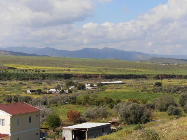 жилая зона Продается in Güzelyurt Merkez, Гюзельюрт