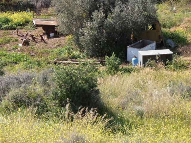 жилая зона Продается in Güzelyurt Merkez, Гюзельюрт