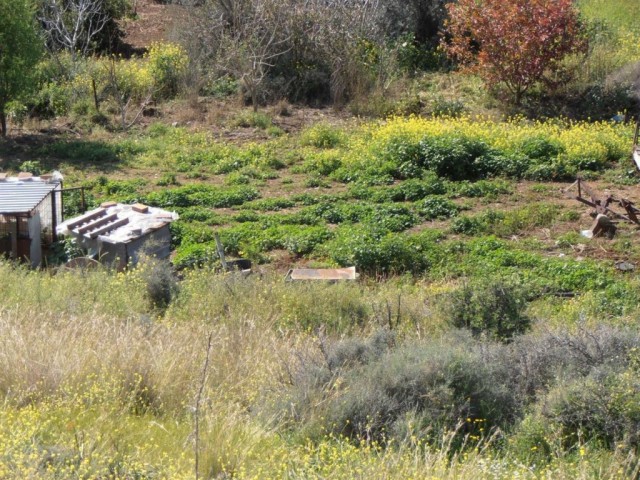 жилая зона Rasprodazha in Güzelyurt Merkez, Гюзельюрт