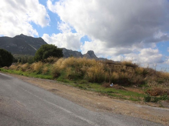 Wohngebiet Zu verkaufen in Girne Merkez, Kyrenia