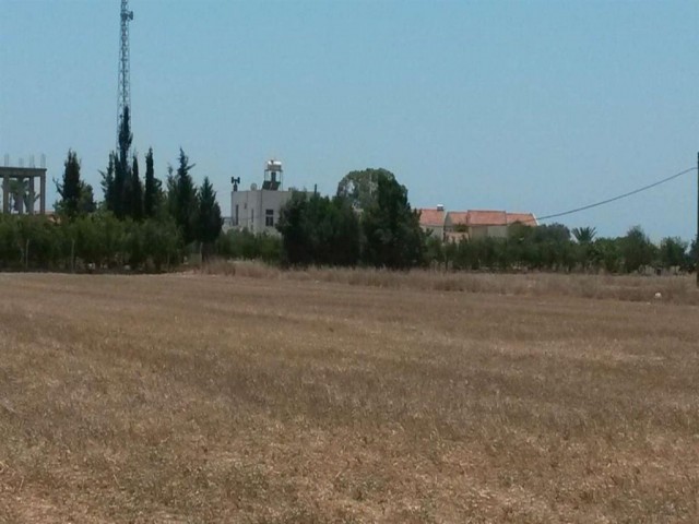 منطقه مسکونی برای فروش in Dipkarpaz, ایسکله