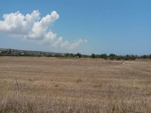 منطقه مسکونی برای فروش in Dipkarpaz, ایسکله