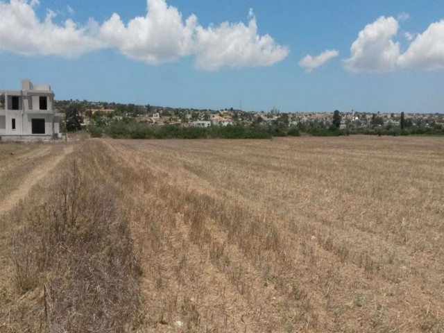 منطقه مسکونی برای فروش in Dipkarpaz, ایسکله