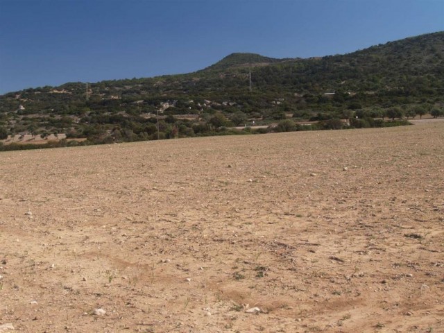 منطقه مسکونی برای فروش in Dipkarpaz, ایسکله