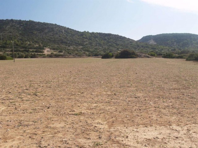 منطقه مسکونی برای فروش in Dipkarpaz, ایسکله