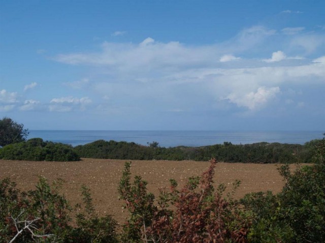 منطقه مسکونی برای فروش in Dipkarpaz, ایسکله