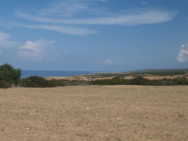 Wohngebiet Kaufen in Dipkarpaz, Iskele