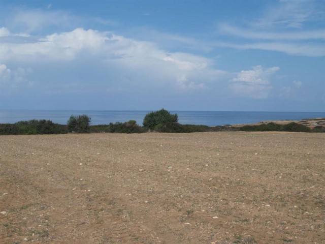 منطقه مسکونی برای فروش in Dipkarpaz, ایسکله