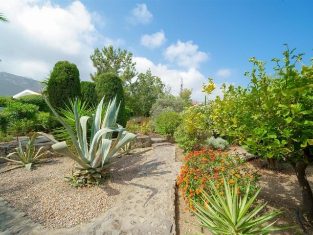 Serene Haven of 4-Bedroom Villa with Expansive Gardens