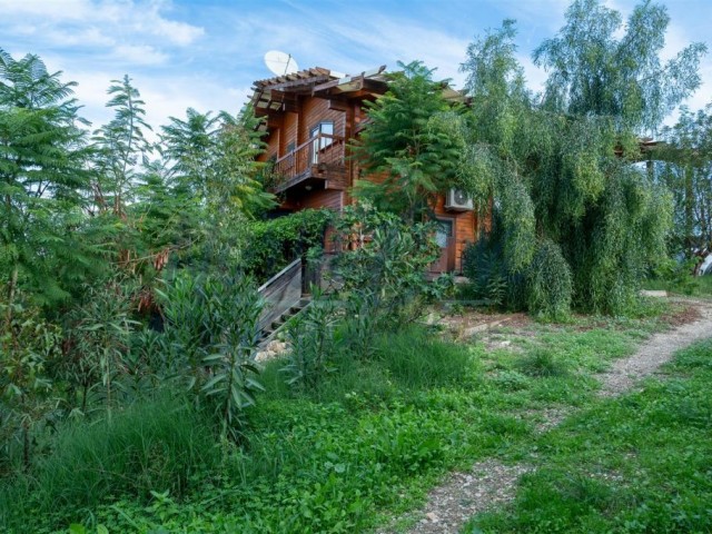 Eco-Chic Haven: A Natural Sustainable Living Retreat