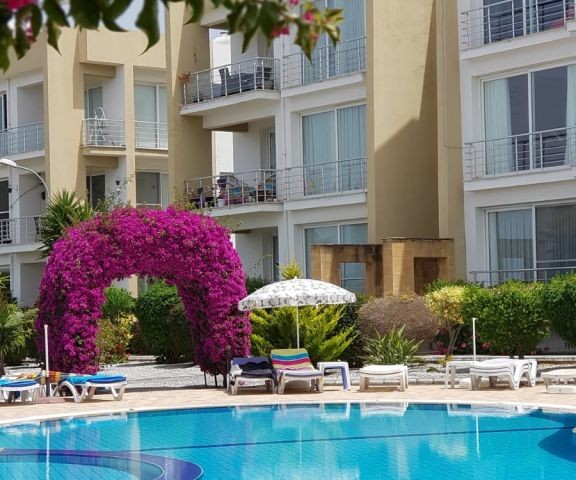 Girne Alsancakta Havuzlu sitede 3+1, full eşyalı, 500 stg kiracısı ile birlikte.