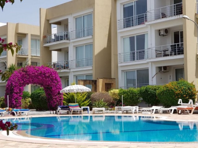 Girne Alsancakta Havuzlu sitede 3+1, full eşyalı, 500 stg kiracısı ile birlikte.