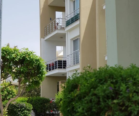 Girne Alsancakta Havuzlu sitede 3+1, full eşyalı, 500 stg kiracısı ile birlikte.