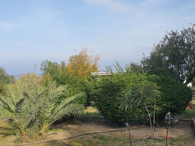 950m2 with magnificent mountain and sea views in Çatalköy. this magnificent villa with 5 bedrooms and a swimming pool in 3.5 acres of land, the view of which is never closed ** 