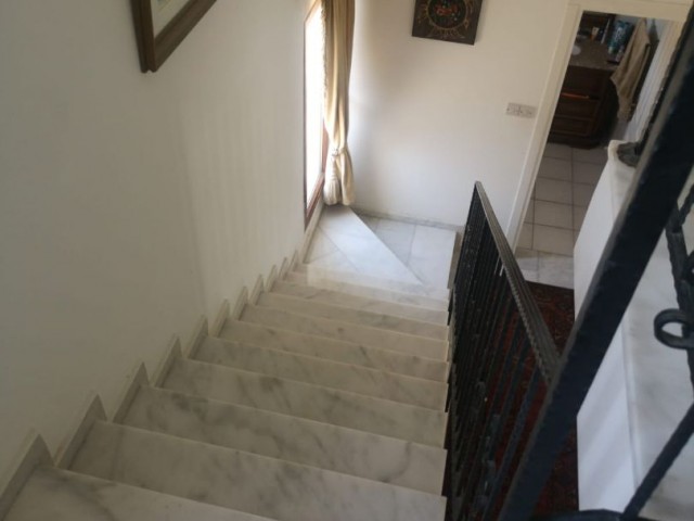 Dayly rent  villa in Esentepe, price can be change for paties and people amount.