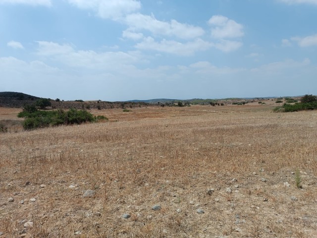 About 14 acres of open-for-construction land in Tashkent..Way.available. ** 