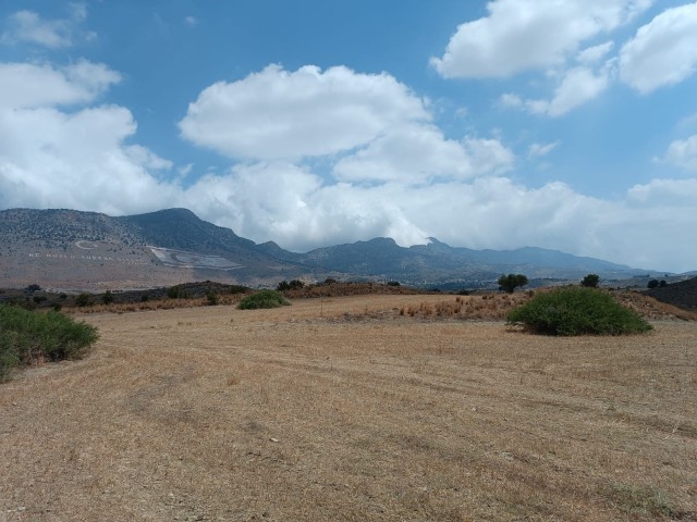 Etwa 14 Hektar Land in Taschkent..Straße.verfügbar. ** 