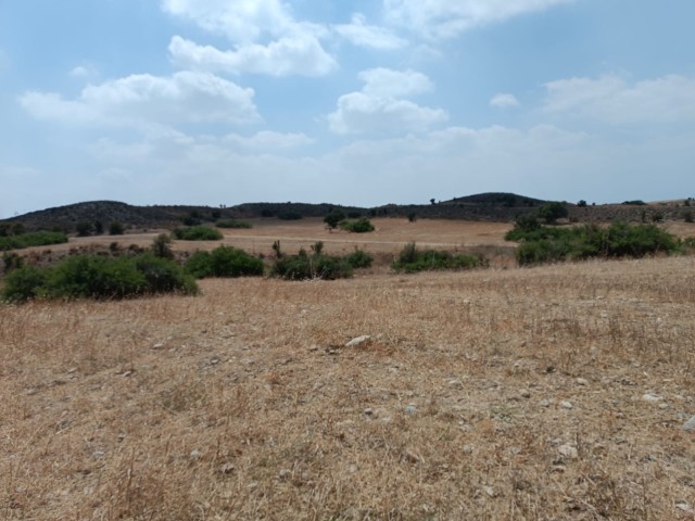 About 14 acres of open-for-construction land in Tashkent..Way.available. ** 