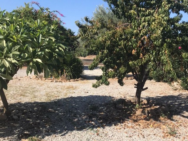 Villa Mieten in Ozanköy, Kyrenia