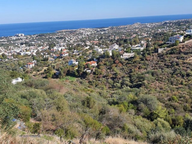 Bellapais Çiçek Neighborhood super mountain sea view plot 1 acre 1 house. ** 