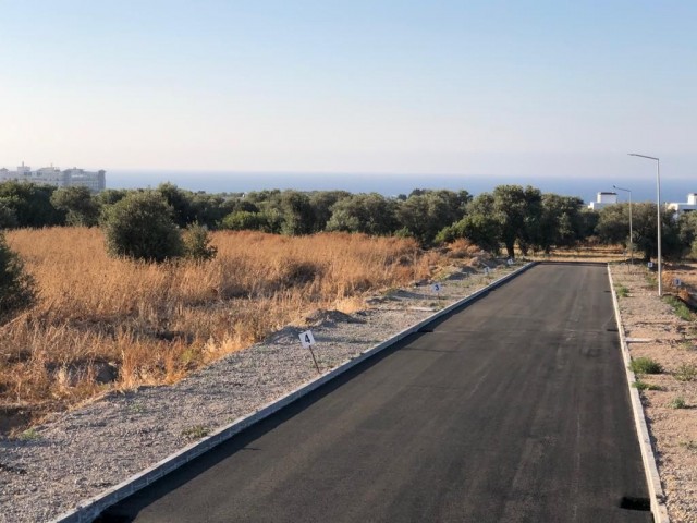 Equivalent and Turkish title deed lands in a perfect location in Ozanköy, Girne, with all infrastructure ready. piece of land ** 