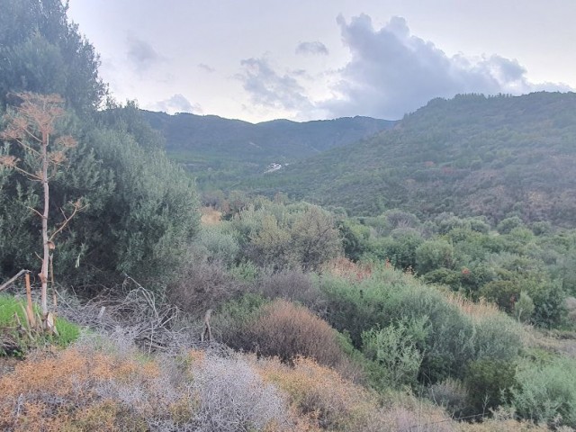 7.5 dinum Villa Land mit Blick auf die Berge und das Meer auf der Straße Null auf dem Weg nach Kyrenia Ilgaz a ** 