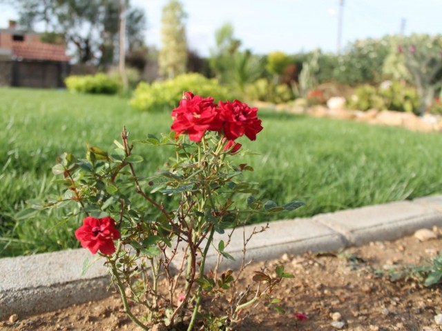 Chatalköy MC Palace Bezirk, in der Nähe der Kreuzung von Shayna Beach 4 + 1 freistehende Website voll möbliert.Ein Schöner Garten. ** 