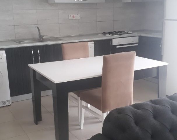 African Students well  ome.2 bedroom Penthouse  flat( avilable a normal 2+1 avilable... with furniture, own beatiful terrace as well.Lovely  view.6  months upfront require