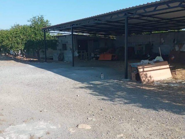 Farm FOR SALE...i have 25 rooms, a 3-bedroom house with a bay oven and a barn, 2 barns, a 130-coke olive tree and various fruit trees, as well as my own art water engine.It is located 10 meters from the main asvalt road. ** 